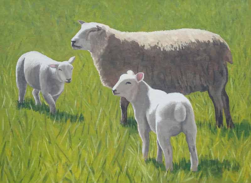 Mother and Lambs